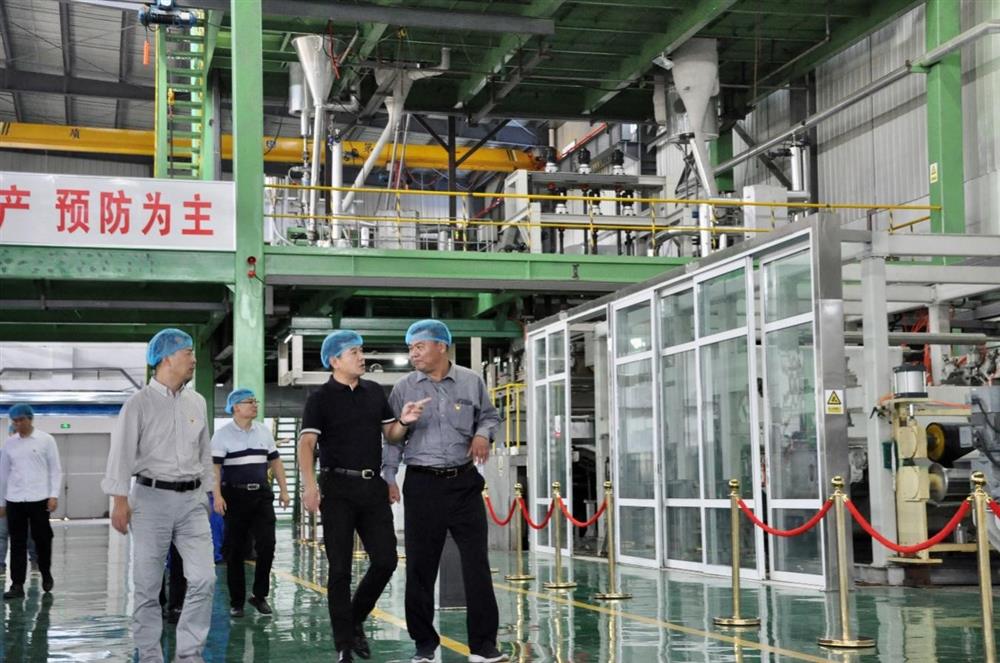 bevictor伟德集团纪委书记卢刚赴齐鲁化纤集团商河工业园调研